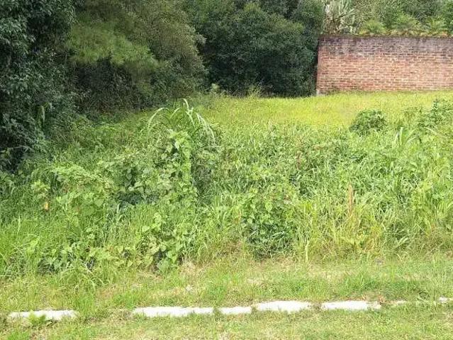 Terreno venda em Região Geográfica Imediata de Bento Gonçalves, Carlos Barbosa
