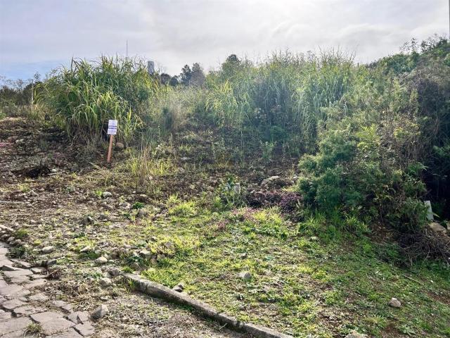 Terreno venda em Carlos Barbosa, Região Geográfica Intermediária de Caxias do Sul