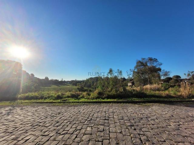 Terreno venda em Carlos Barbosa, Região Geográfica Intermediária de Caxias do Sul