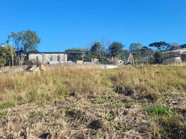 Terreno venda em Região Geográfica Imediata de Bento Gonçalves, Carlos Barbosa