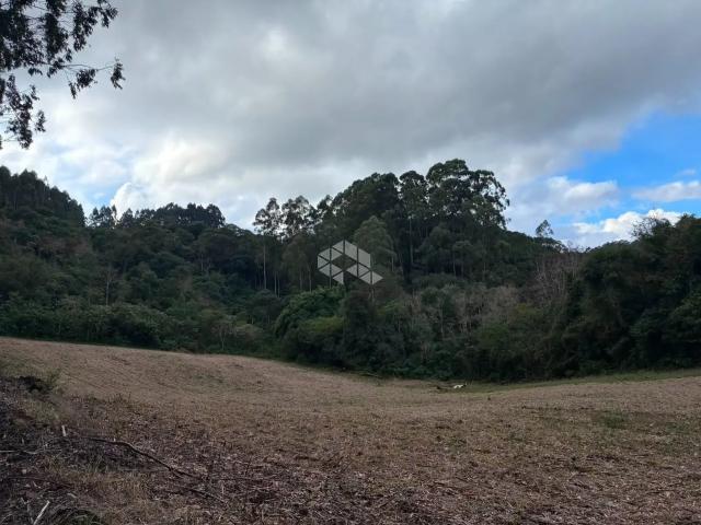 Terreno venda em Carlos Barbosa