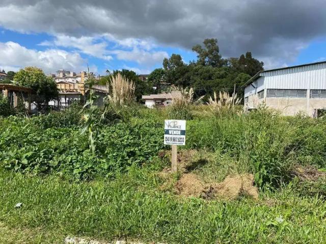 Terreno venda em Região Geográfica Imediata de Bento Gonçalves, Carlos Barbosa