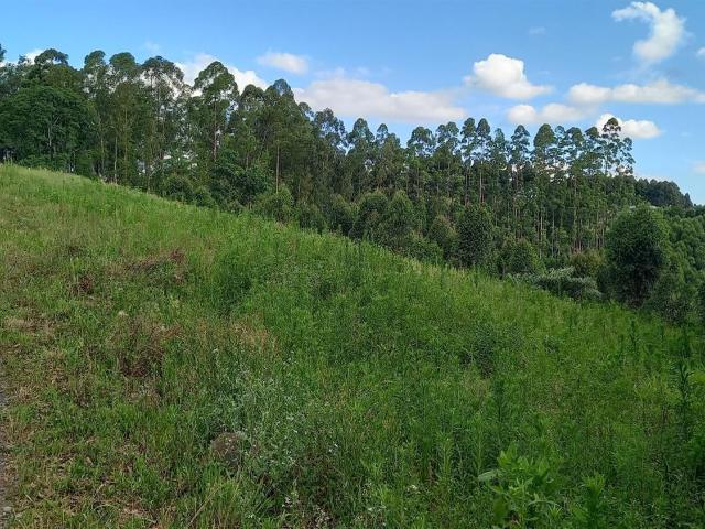 Terreno venda em Carlos Barbosa, Região Geográfica Intermediária de Caxias do Sul