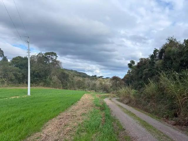 Terreno venda em São Paulo, Carlos Barbosa