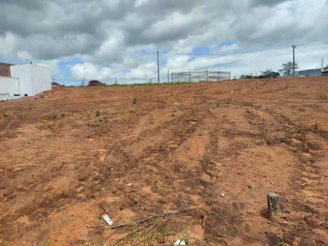 Terreno venda em Região Geográfica Imediata de Carpina, Carpina
