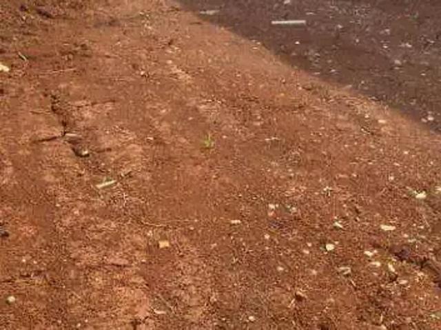 Terreno venda em Região Geográfica Imediata de Cascavel, Cascavel