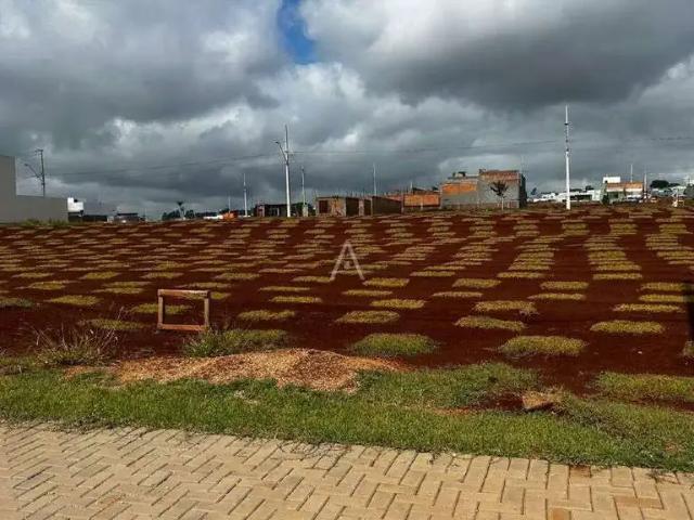 Terreno venda em Região Geográfica Imediata de Cascavel, Cascavel