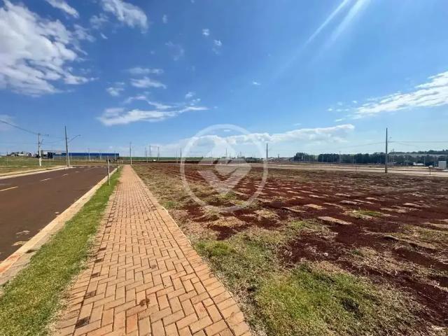 Terreno venda em Região Geográfica Imediata de Cascavel, Cascavel