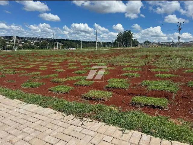 Terreno venda em Região Geográfica Imediata de Cascavel, Cascavel