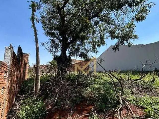 Terreno venda em Região Geográfica Imediata de Cascavel, Cascavel