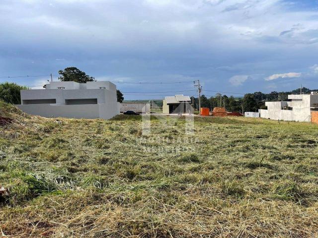 Terreno venda em Brasmadeira, Cascavel
