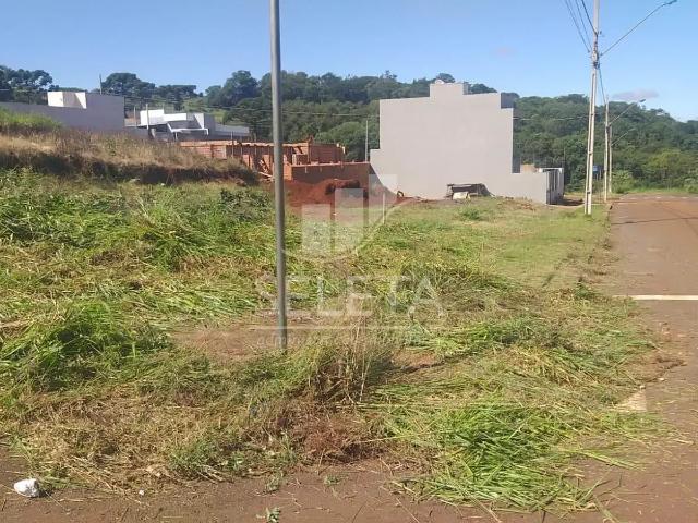 Terreno venda em Cascavel Velho, Cascavel