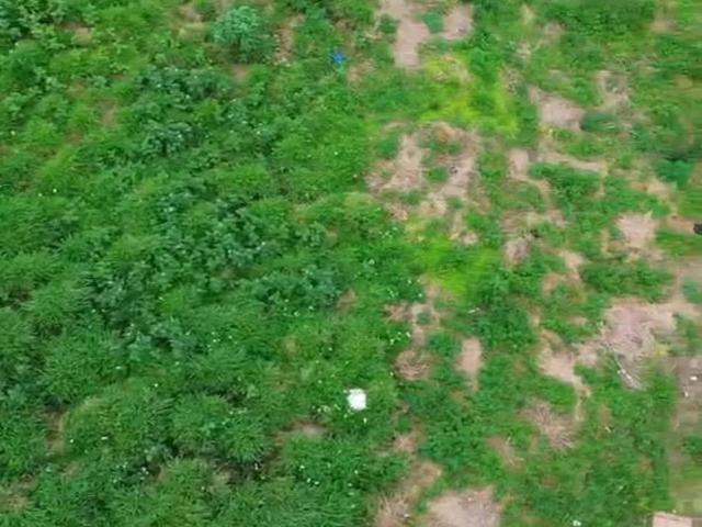 Terreno venda em Cascavel Velho, Cascavel