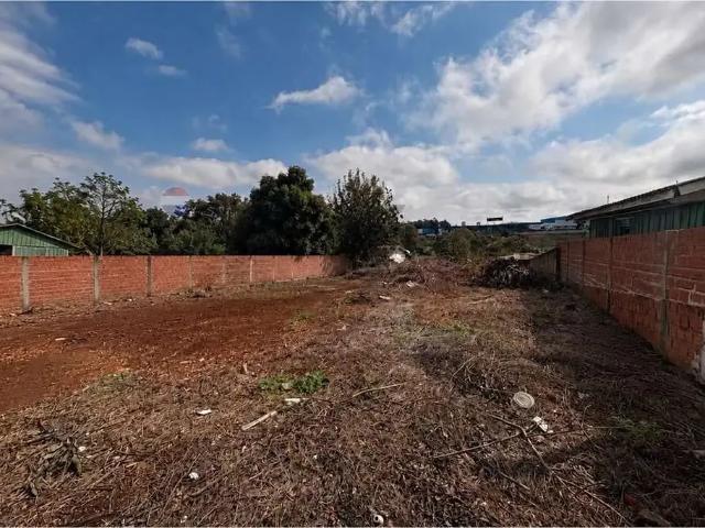 Terreno venda em Região Geográfica Imediata de Cascavel, Cascavel