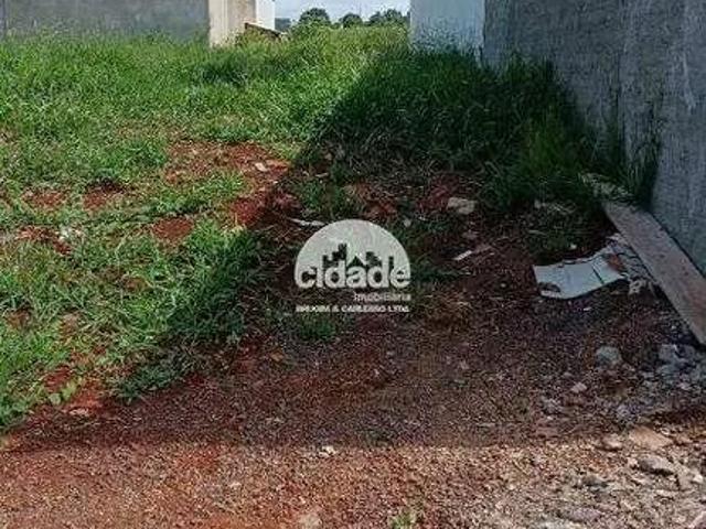 Terreno venda em Região Geográfica Imediata de Cascavel, Cascavel