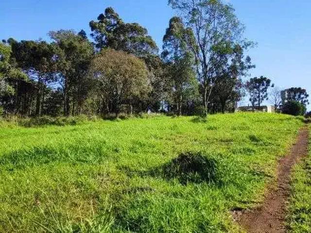 Terreno venda em Região Geográfica Imediata de Cascavel, Cascavel