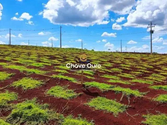 Terreno venda em Região Geográfica Imediata de Cascavel, Cascavel