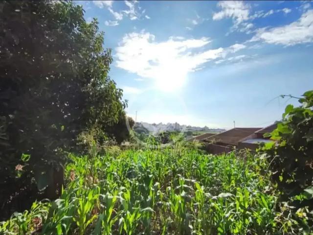 Terreno venda em Coqueiral, Cascavel