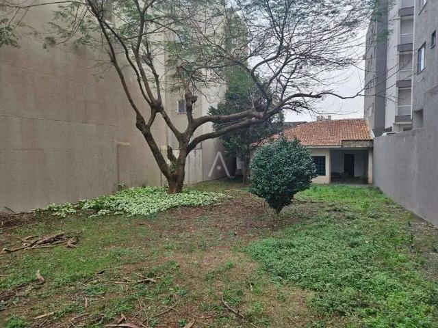 Terreno venda em Região Geográfica Imediata de Cascavel, Cascavel