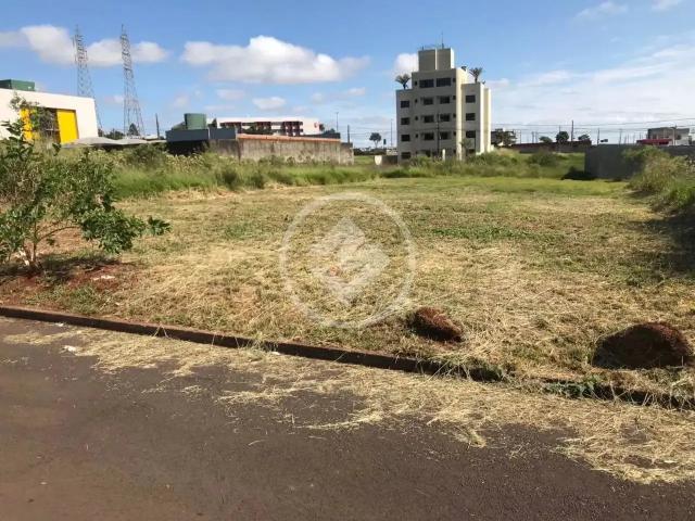 Terreno venda em FAG, Cascavel