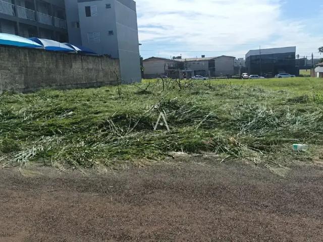 Terreno venda em Cascavel, Região Geográfica Intermediária de Cascavel