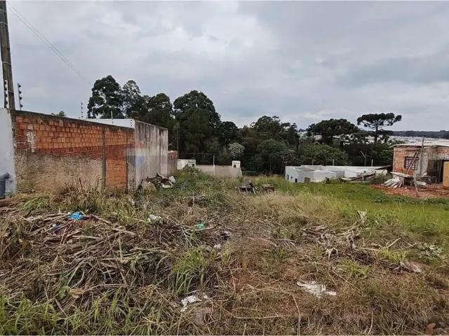 Terreno venda em Região Geográfica Imediata de Cascavel, Cascavel