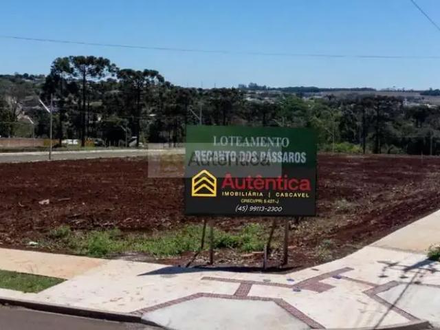 Terreno venda em Região Geográfica Imediata de Cascavel, Cascavel