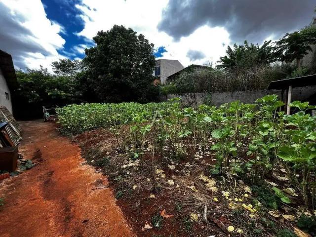Terreno venda em Região Geográfica Imediata de Cascavel, Cascavel