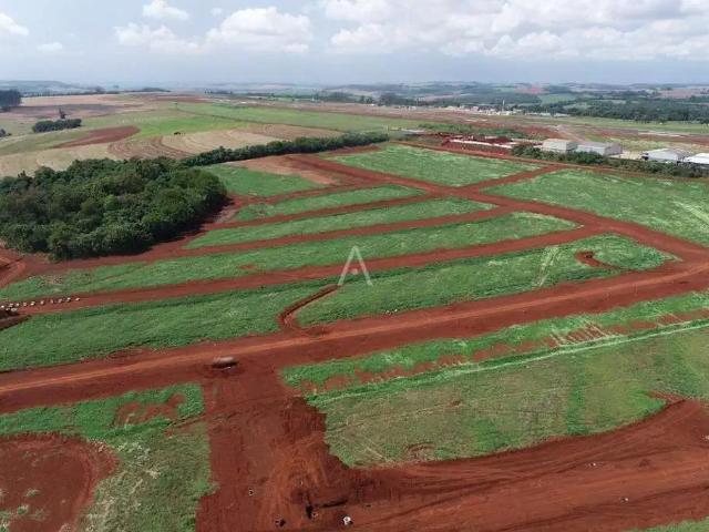 Terreno venda em Região Geográfica Imediata de Cascavel, Cascavel