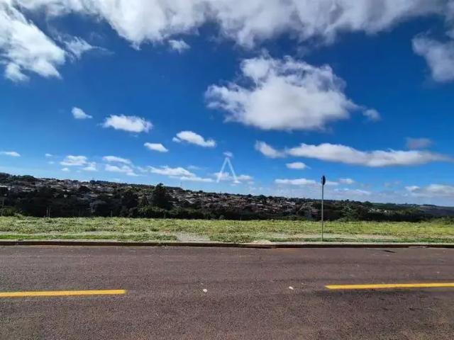 Terreno venda em Região Geográfica Imediata de Cascavel, Cascavel