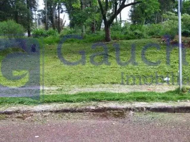 Terreno venda em Região Geográfica Imediata de Cascavel, Cascavel