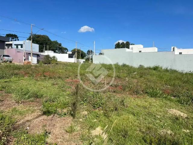 Terreno venda em Região Geográfica Imediata de Cascavel, Cascavel