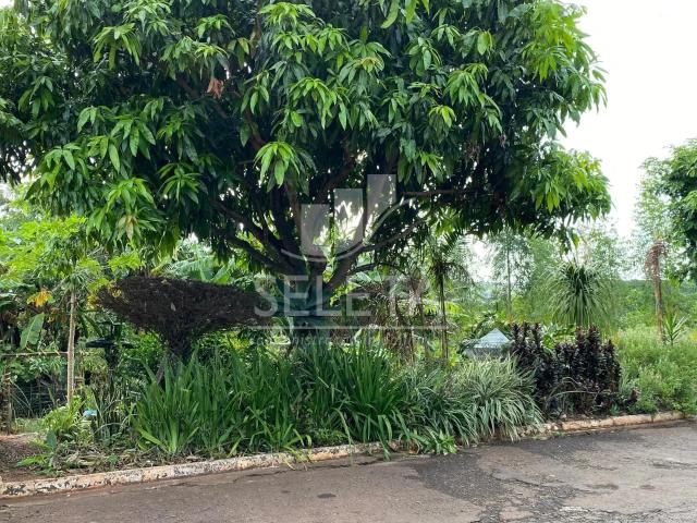 Terreno venda em Maria Luiza, Cascavel