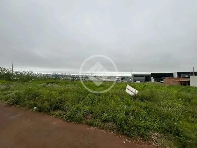 Terreno venda em Parque São Paulo, Cascavel