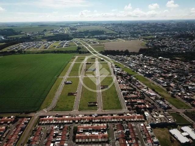 Terreno venda em Brasília, Cascavel