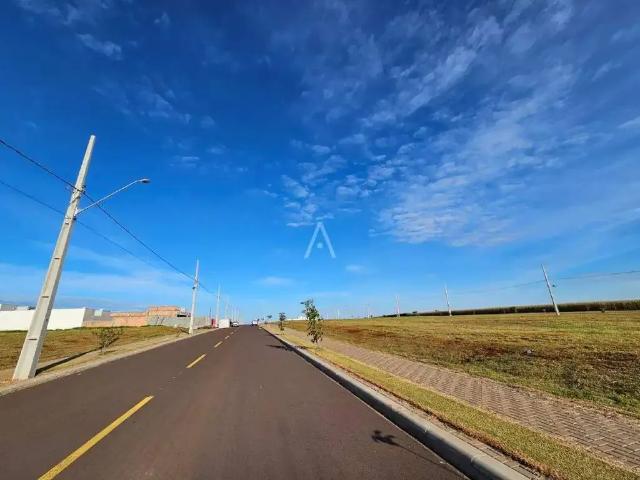Terreno venda em Região Geográfica Imediata de Cascavel, Cascavel