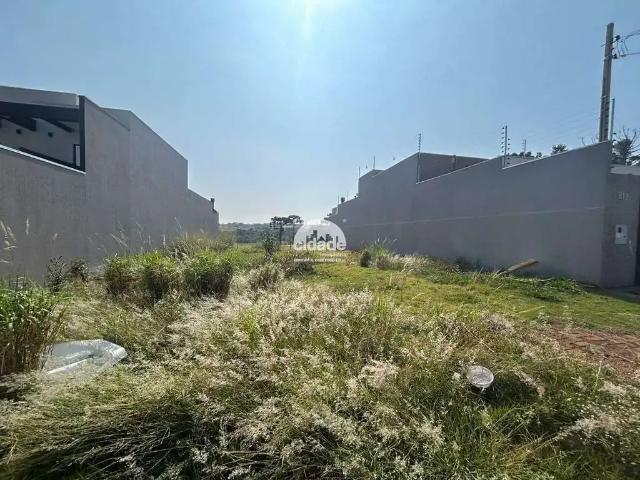 Terreno venda em Região Geográfica Imediata de Cascavel, Cascavel