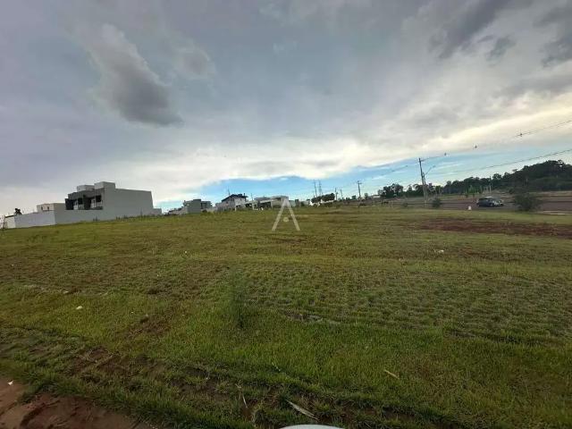 Terreno venda em Região Geográfica Imediata de Cascavel, Cascavel