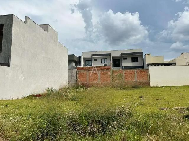 Terreno venda em Região Geográfica Imediata de Cascavel, Cascavel