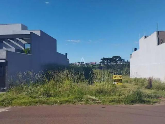 Terreno venda em Região Geográfica Imediata de Cascavel, Cascavel