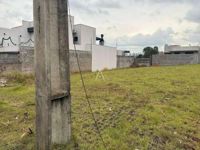 Terreno venda em Região Geográfica Imediata de Cascavel, Cascavel