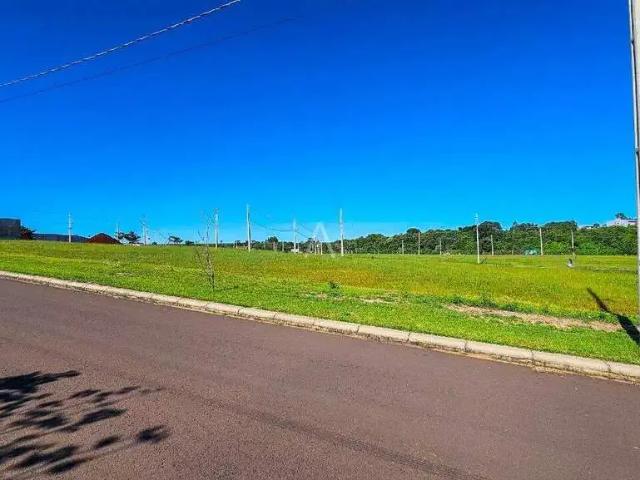 Terreno venda em Região Geográfica Imediata de Cascavel, Cascavel