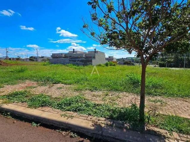 Terreno venda em Região Geográfica Imediata de Cascavel, Cascavel