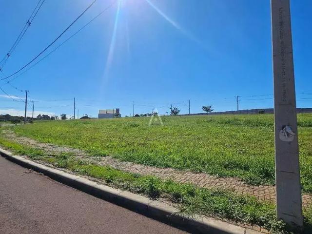 Terreno venda em Região Geográfica Imediata de Cascavel, Cascavel