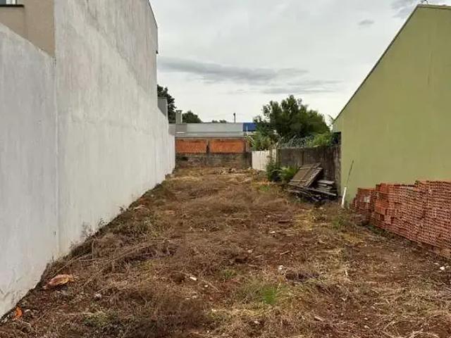 Terreno venda em Região Geográfica Imediata de Cascavel, Cascavel