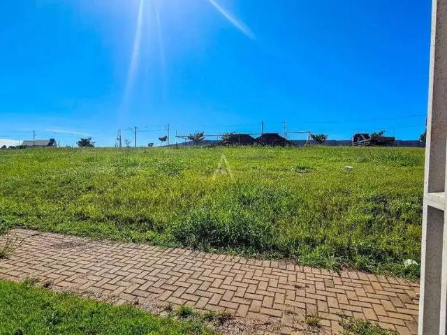 Terreno venda em Região Geográfica Imediata de Cascavel, Cascavel