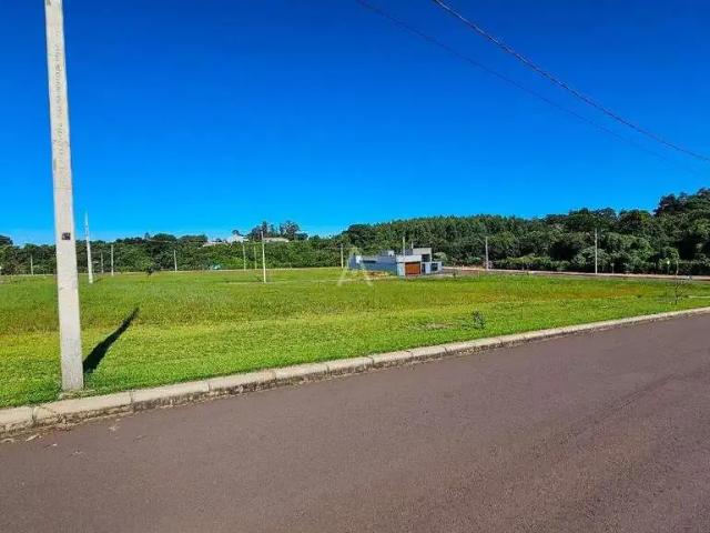 Terreno venda em Região Geográfica Imediata de Cascavel, Cascavel