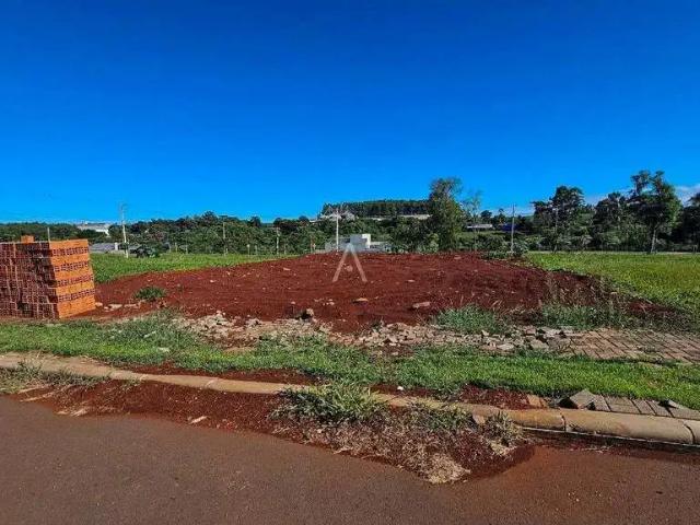 Terreno venda em Região Geográfica Imediata de Cascavel, Cascavel