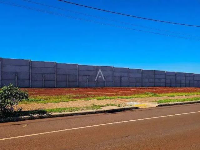 Terreno venda em Região Geográfica Imediata de Cascavel, Cascavel
