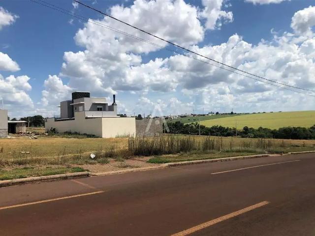Terreno venda em Região Geográfica Imediata de Cascavel, Cascavel